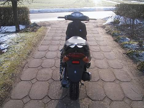 Adly tmp gazelle billede 4