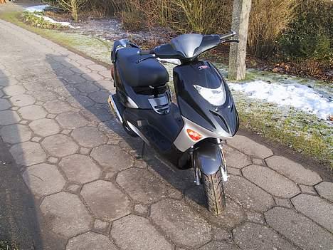 Adly tmp gazelle billede 5