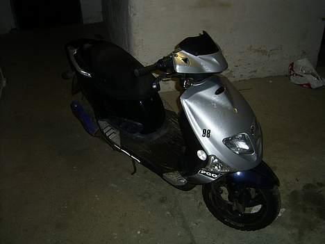 PGO dr. big TAGET AF POLITIET - 16-01-2006 billede 6