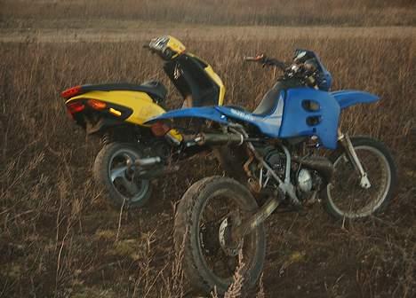 Piaggio NRG mc³ - Bjørnen bjørn.. billede 7