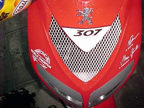 Peugeot speedfighter 2 wrc 307( billede 5