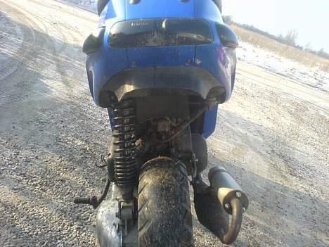 Piaggio typhoon  TIL SALG  billede 7