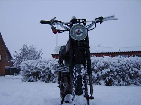 Malaguti projekt.. ;)  billede 5