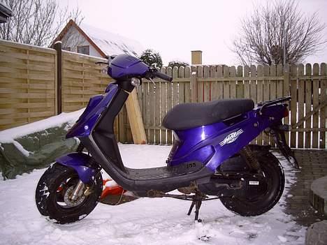 PGO Hot 50 (Krøllet) - (Gammelt billede.) billede 4