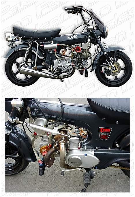 Honda ST50 DAX billede 10