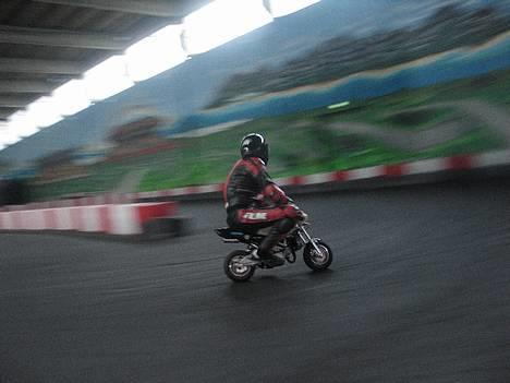 MiniBike Polini 911 Dahl's Solgt - Miig på min pocketbike til træning billede 2