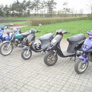 PGO Rodoshow (TIL SALG)