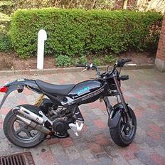 Suzuki Street magic (SOLGT)