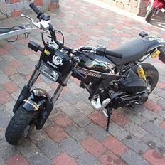 Suzuki Street magic (SOLGT)