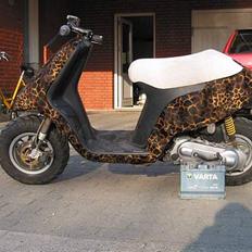 Piaggio Typhoon [Solgt]