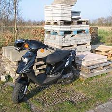 PGO Hot 50 ¤Det Sorte Får¤