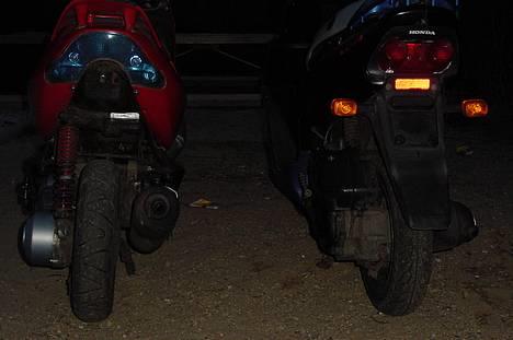 Aprilia Sonic billede 4