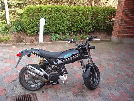 Suzuki Street magic (SOLGT) billede 2