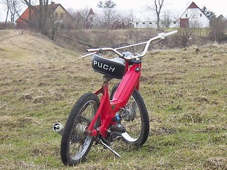Puch Maxi K |før| billede 5