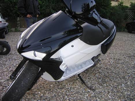 Benelli 491 (Racer)  billede 3