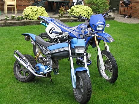 Suzuki SMX Solgt billede 7