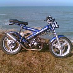 Sachs - MadAss - TNR