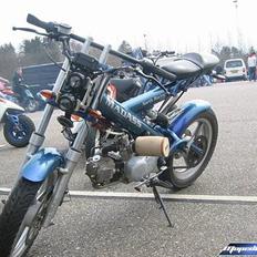 Sachs - MadAss - TNR