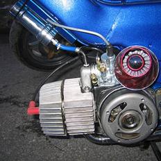 Puch Maxi - EOR-custom SOLGT