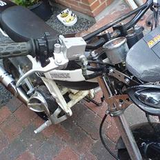 Suzuki street magic [Byttet]