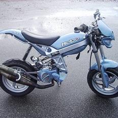 Suzuki Street magic (SOLGT)