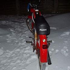 Puch ms50