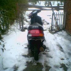 PGO Comet -"Projekt"-