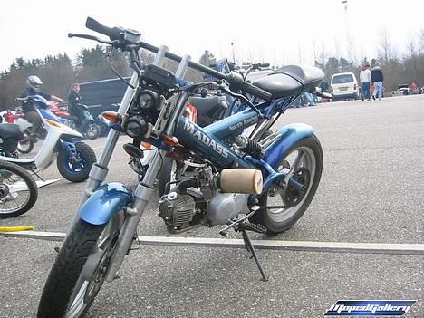 Sachs - MadAss - TNR billede 2