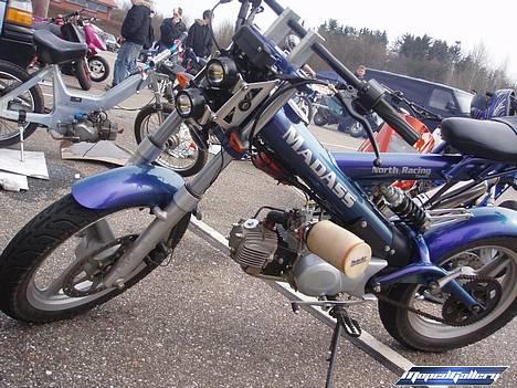 Sachs - MadAss - TNR billede 3