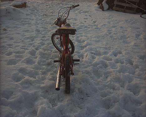 Puch maxi k bytte til monza billede 5