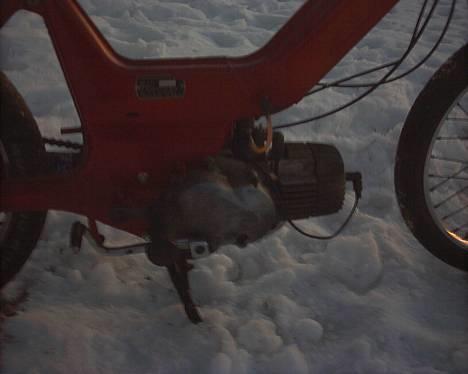 Puch maxi k bytte til monza billede 9