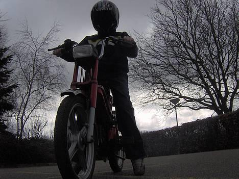 Vespa Bravo (solgt) billede 14