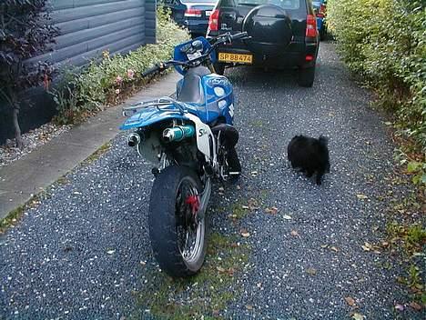 Suzuki smx billede 3