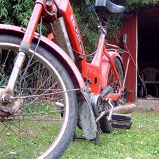 Puch Maxi P (Projekt)