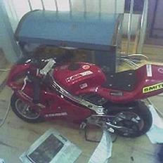 MiniBike ExtremeRacer*SOLGT*