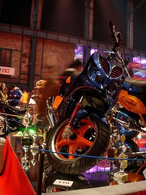 Gilera dna -FØR- - De farver den højst sansynligt bliver. billede 16