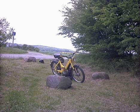 Puch maxi - her var vi lige ude og få en enkelt grøn :D billede 7
