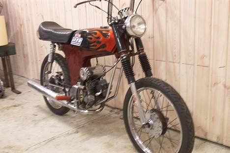 Yamaha Yamaha Fs-1 billede 10