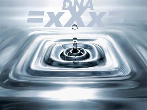 Gilera DNA billede 19