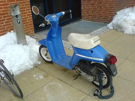 Honda Melody Byttet billede 9