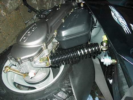 PGO hot50 billede 15