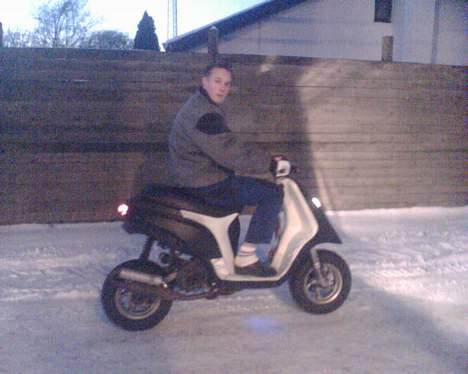 Piaggio typhoon  TIL SALG  - Nymalet billede 20