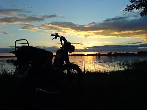 Gizmo Hero 60CC Solgt  - ja det er sku smukt!! hæhæh billede 10