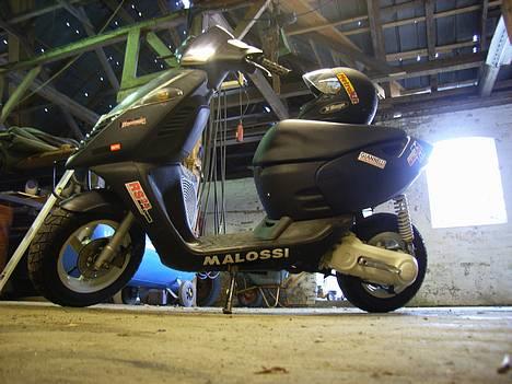 Aprilia sonic !!!!! DØD !!!!! - Vilddyret billede 1