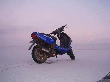 CPI hussar (Til salg / bytte) - det er ude på ringkøbing fjord som er frosset til is billede 4