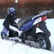 PGO ---- g-max-------