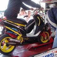 PGO Hot 50/piaggio LC