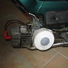 Puch maxi GREEN LIGHTNING