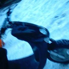 Yamaha neos brændt af :(