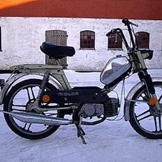Kreidler Flory